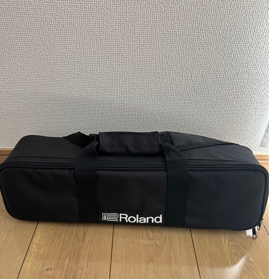 超美品早い者勝ち ローランドエアロフォン AE05