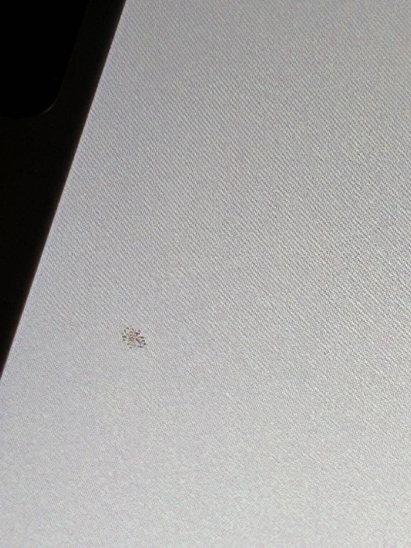 iPad Pro 256GB 11インチ/Apple Pencil(第2世代)