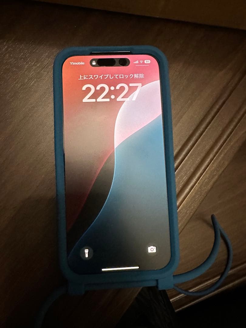 【新品】Bottega Veneta パラキートiPhone14pro