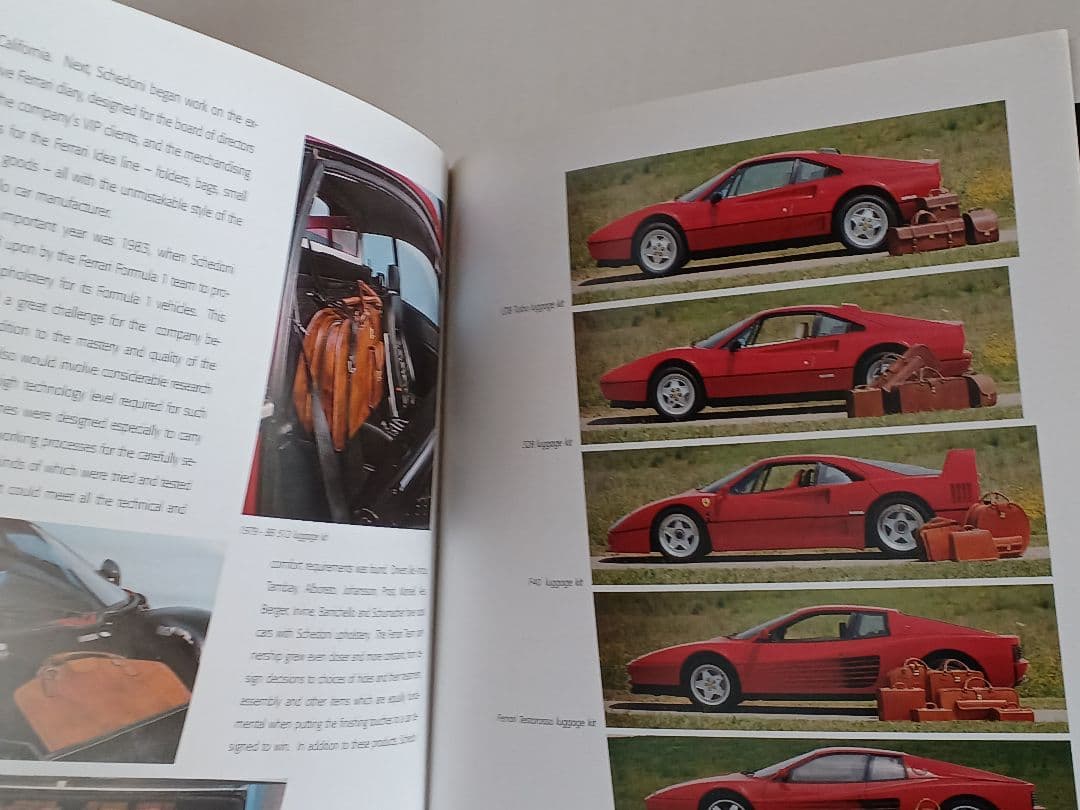 【Schedoni】 スケドーニ 黒フォーマルビジネスバッグ