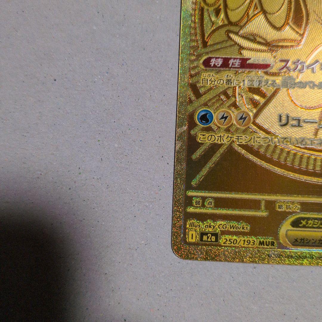 し*う様 メガカイリューmur