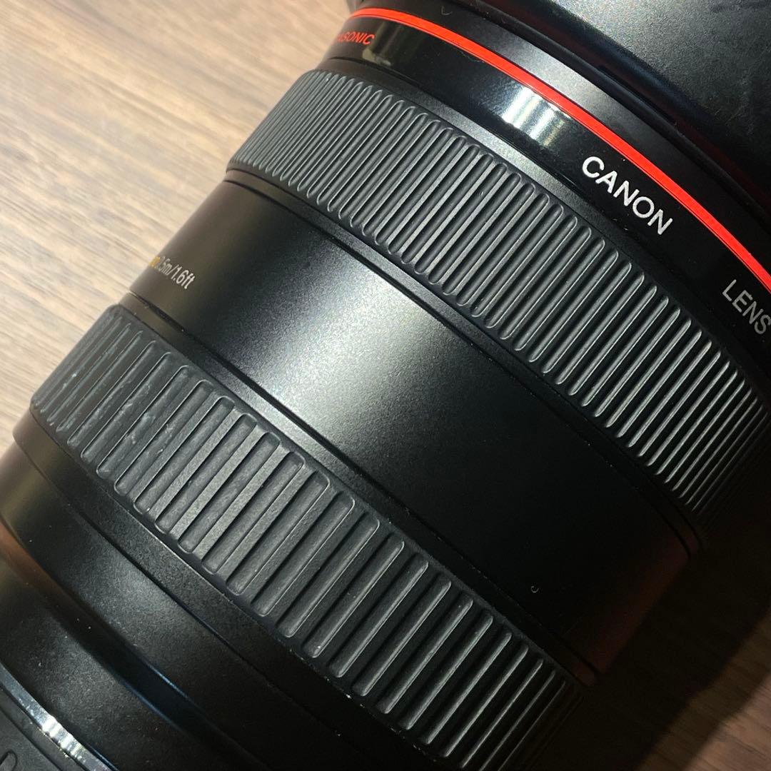 Canon EF28-70mm F2.8L USM ジャンク品