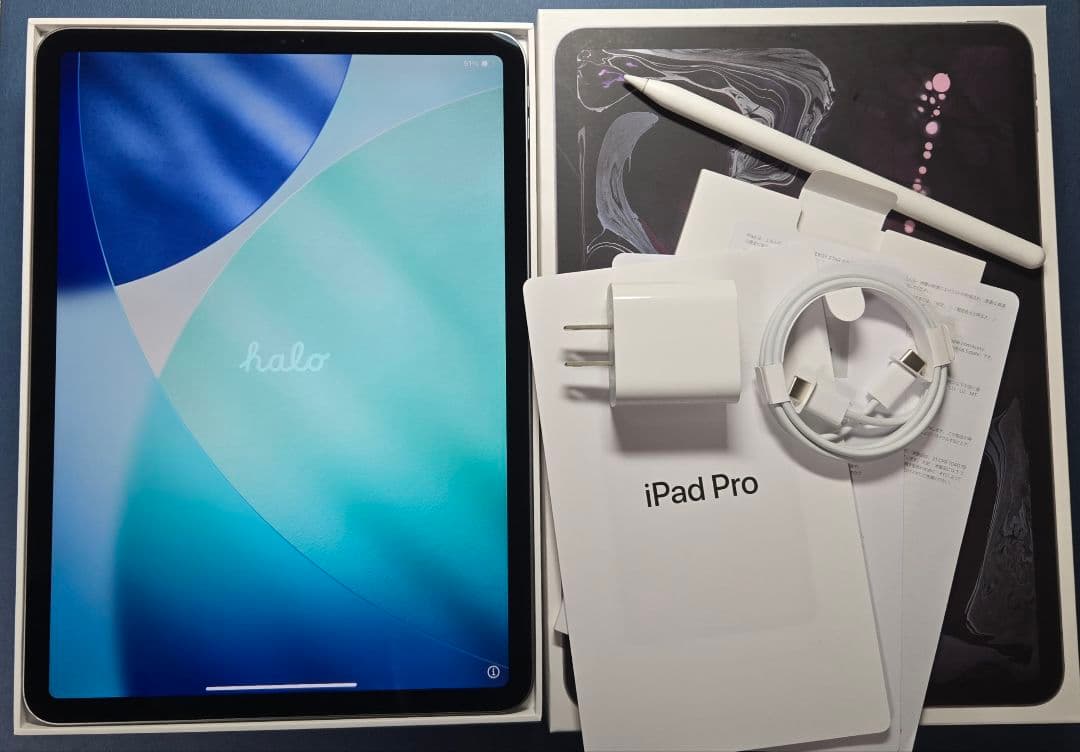 iPad Pro 第1世代 11インチ Wi-Fi 512GB Pencil付き