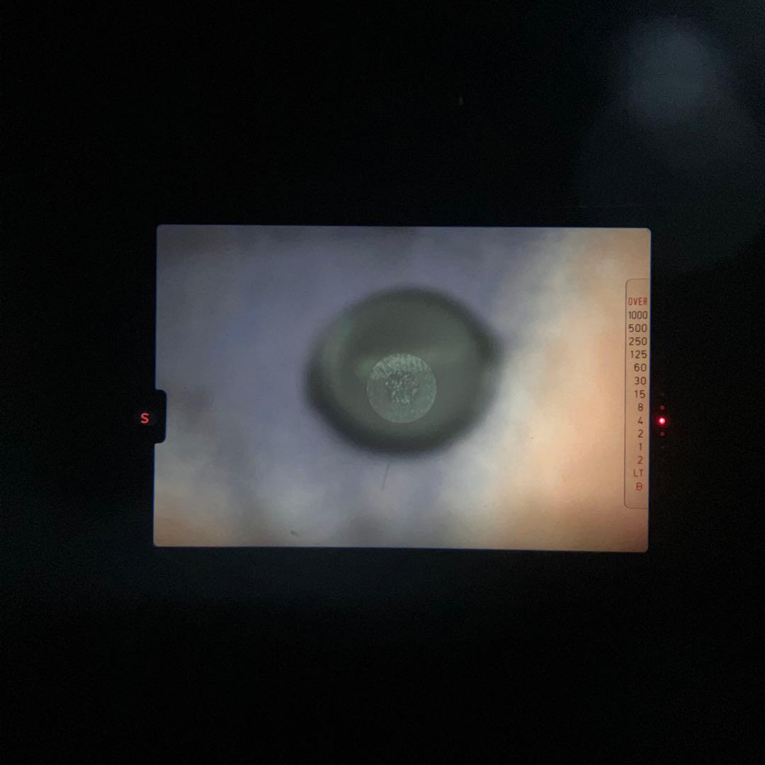 フィルムカメラ CONTAX 137MA 1.9/50