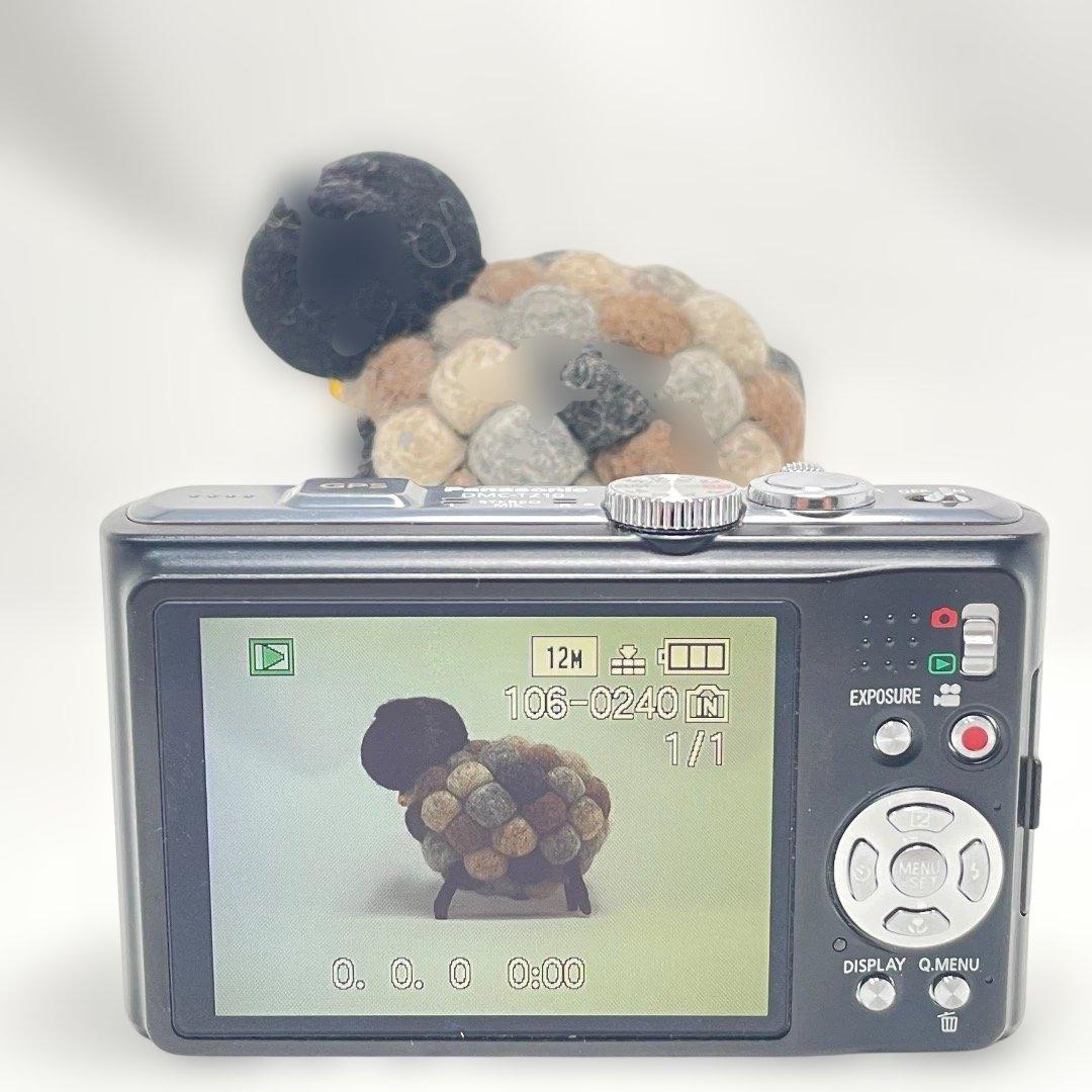 動作品✨Panasonic DMC-TZ10デジカメ 初心者 GPS 送料無料