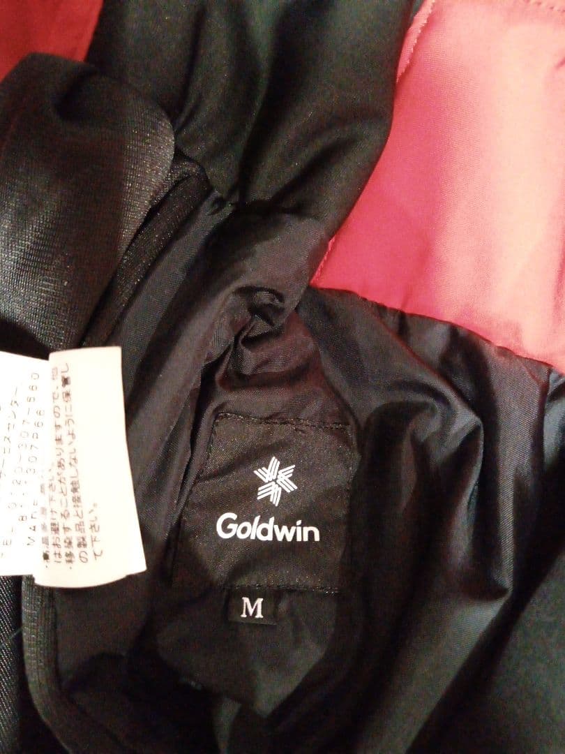ゴールドウィンGoldwin スキーウェア　上下　 M