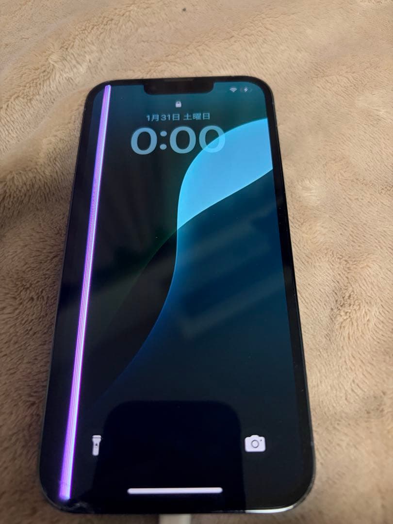 Apple iPhone 13 Proシエラブルー本体