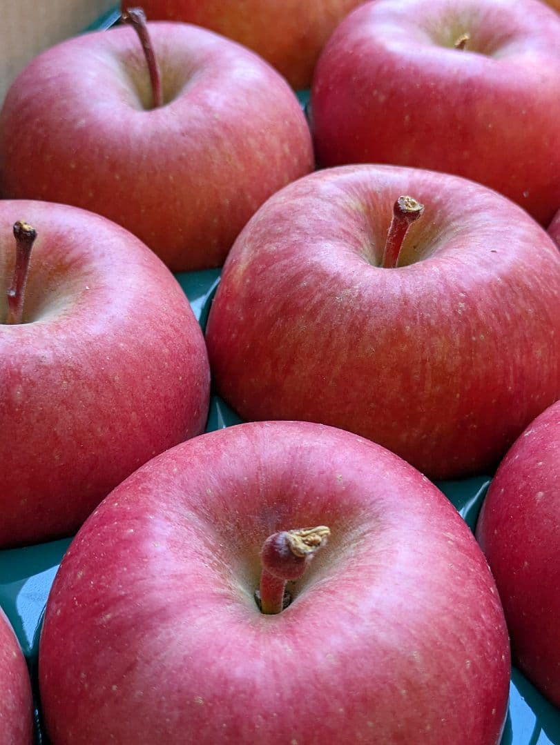 噂の林檎♡高徳♡46玉♡２段詰め♡10kg箱入♡