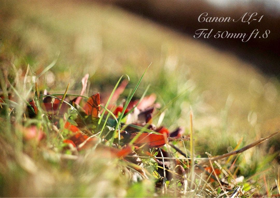 ★canon al-1★fd 50mm f1.8★完動品＊美品＊初期保証付き