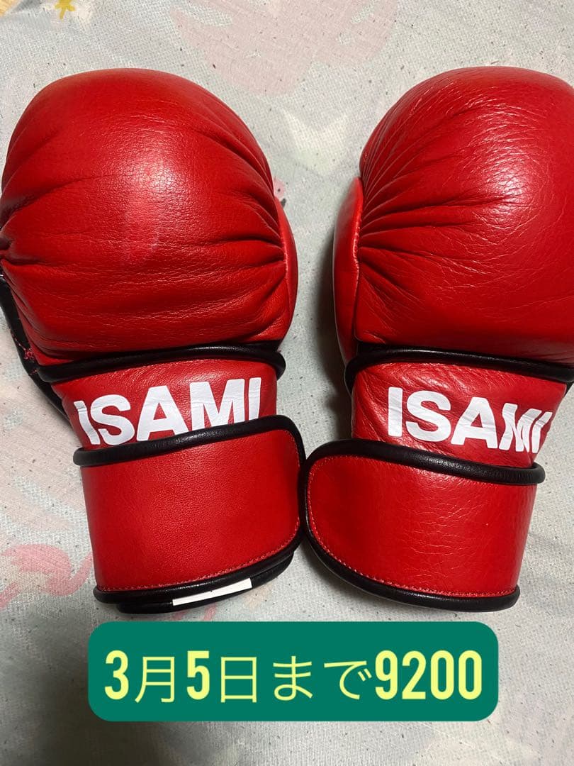 ISAMI パウンドグローブ