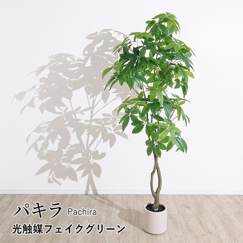 新品 三栄コーポレーション 光触媒 パキラ フェイクグリーン 約195cm
