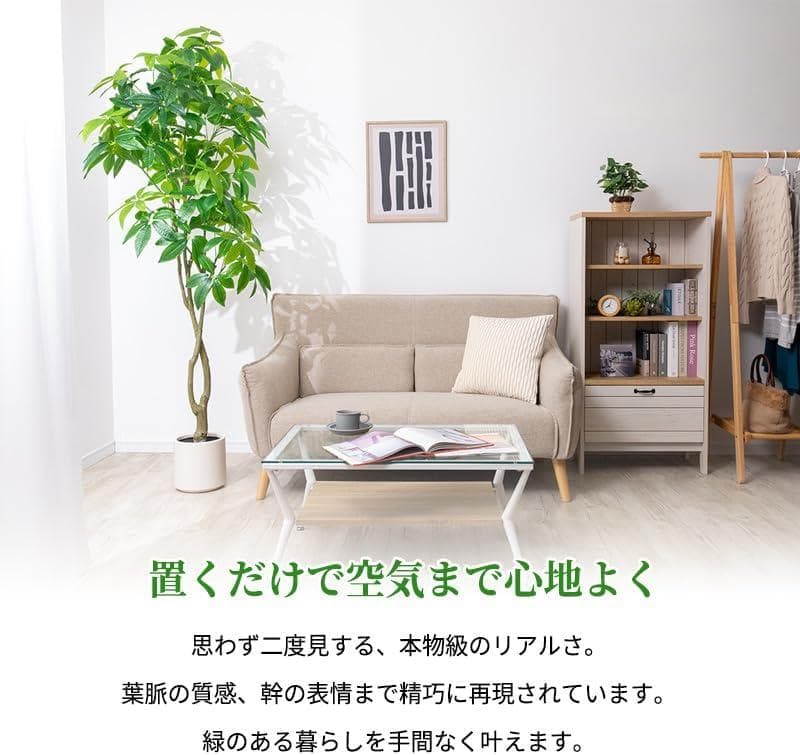 新品 三栄コーポレーション 光触媒 パキラ フェイクグリーン 約195cm