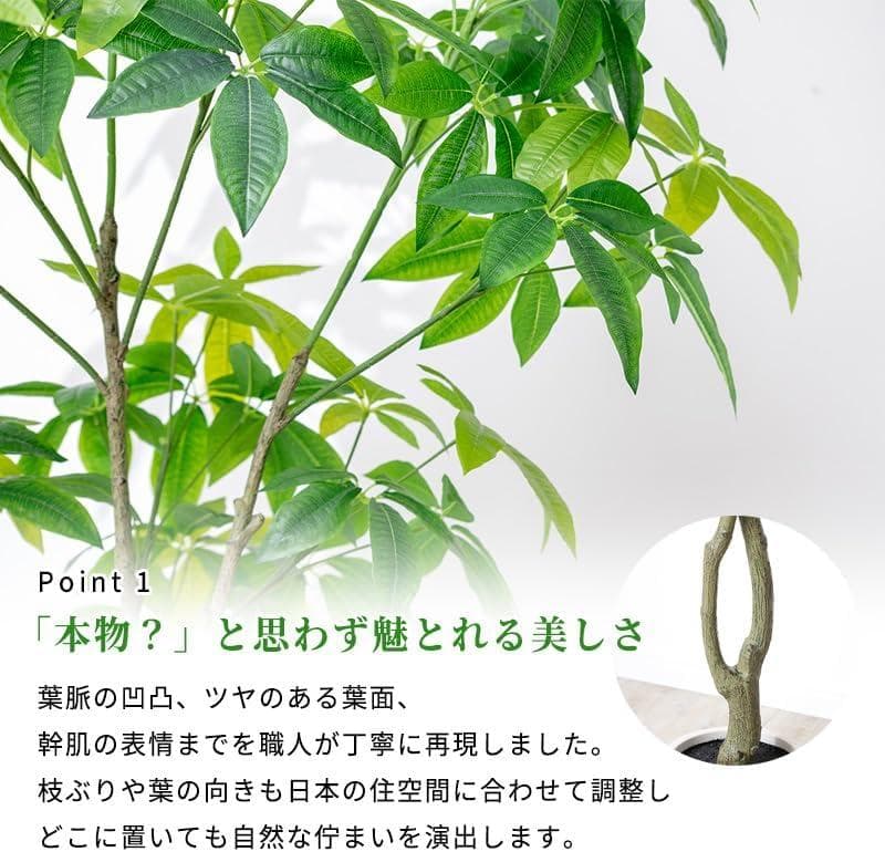 新品 三栄コーポレーション 光触媒 パキラ フェイクグリーン 約195cm