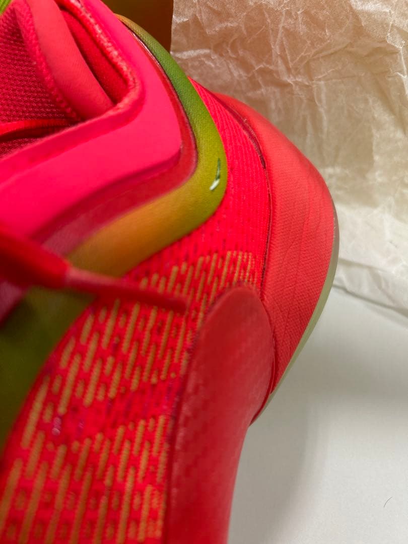 DON ISSUE 6 ハリボー