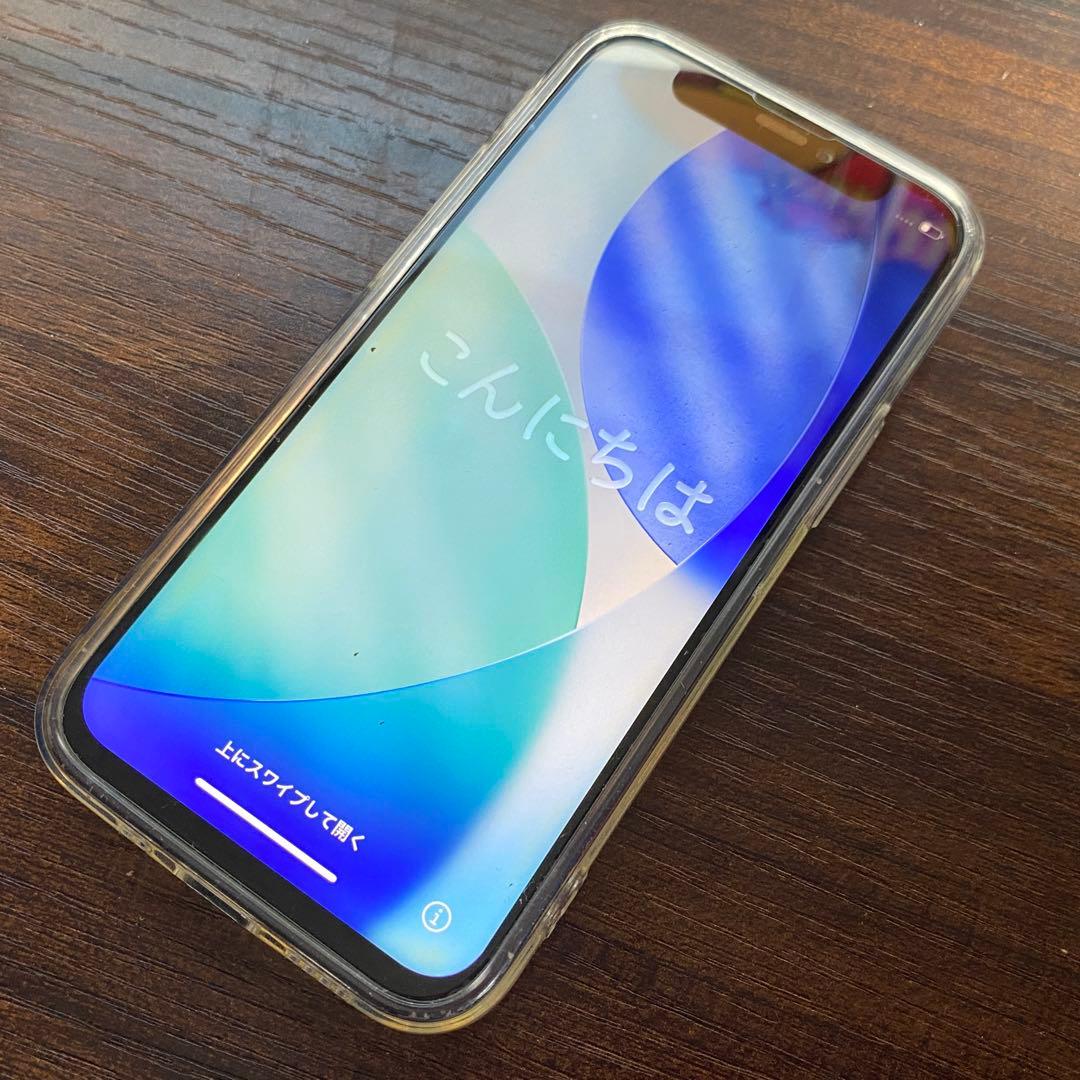 iPhone12 mini 256GB 訳アリ品 ジャンク品扱い Apple