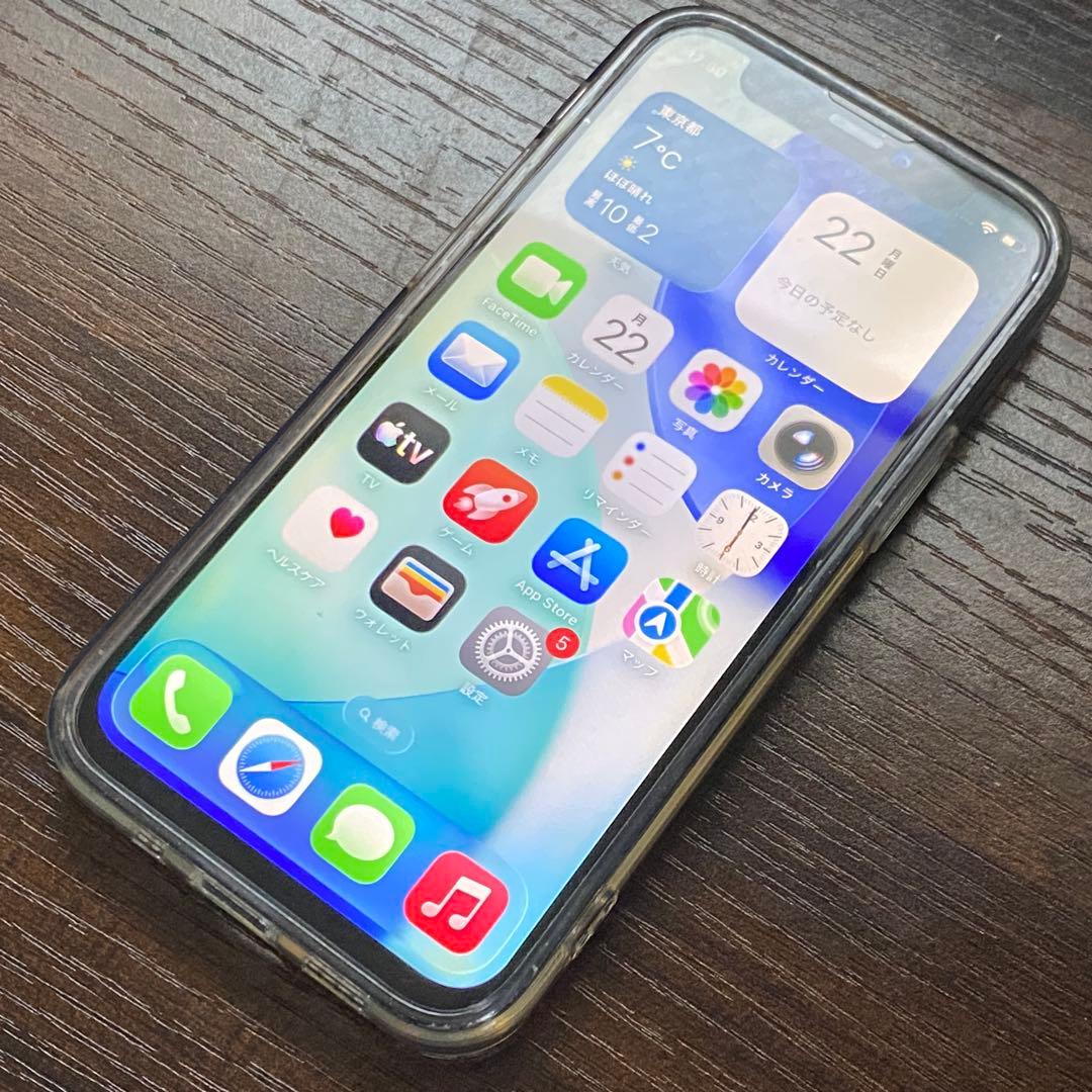 iPhone12 mini 256GB 訳アリ品 ジャンク品扱い Apple