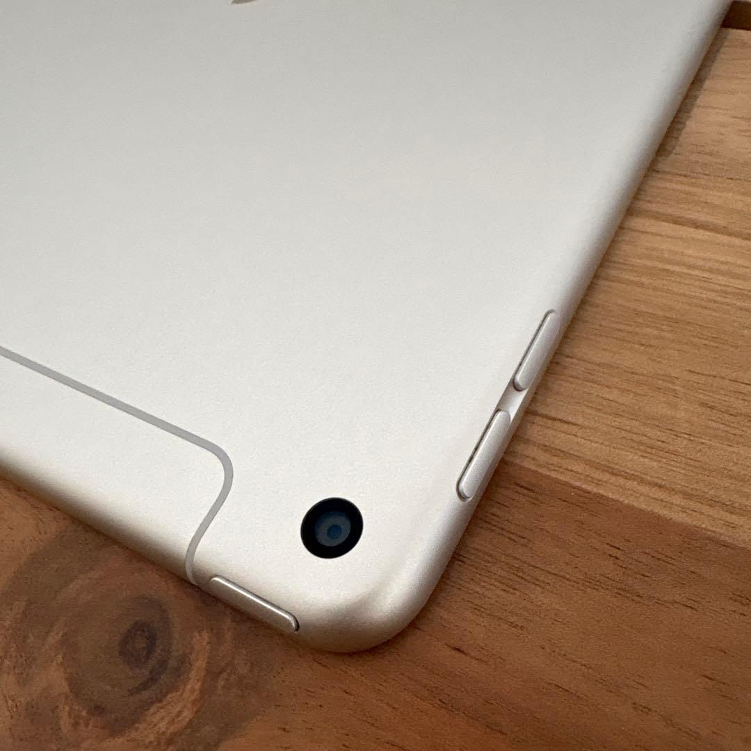 iPad mini5 Wi-Fi+Cellular モデル64GB (3)