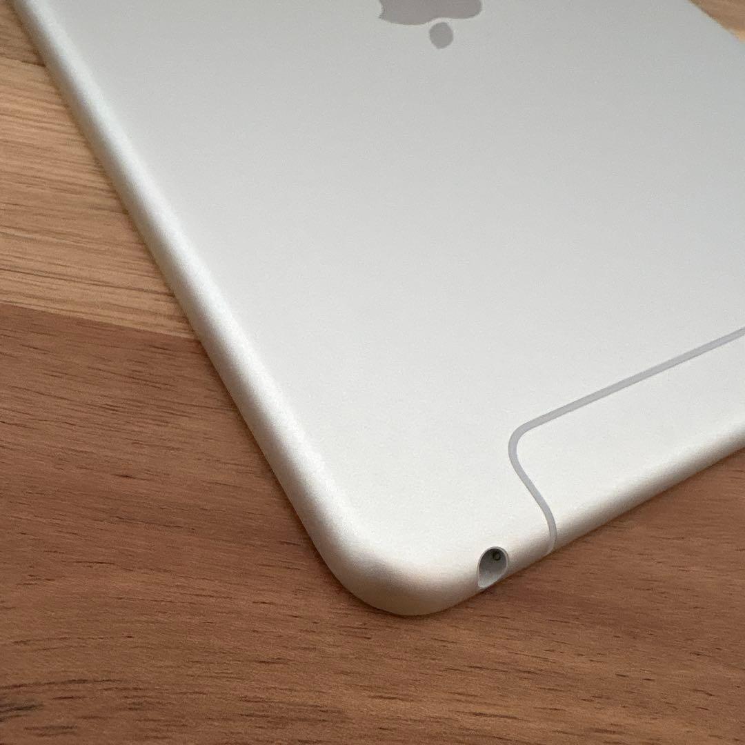 iPad mini5 Wi-Fi+Cellular モデル64GB (3)