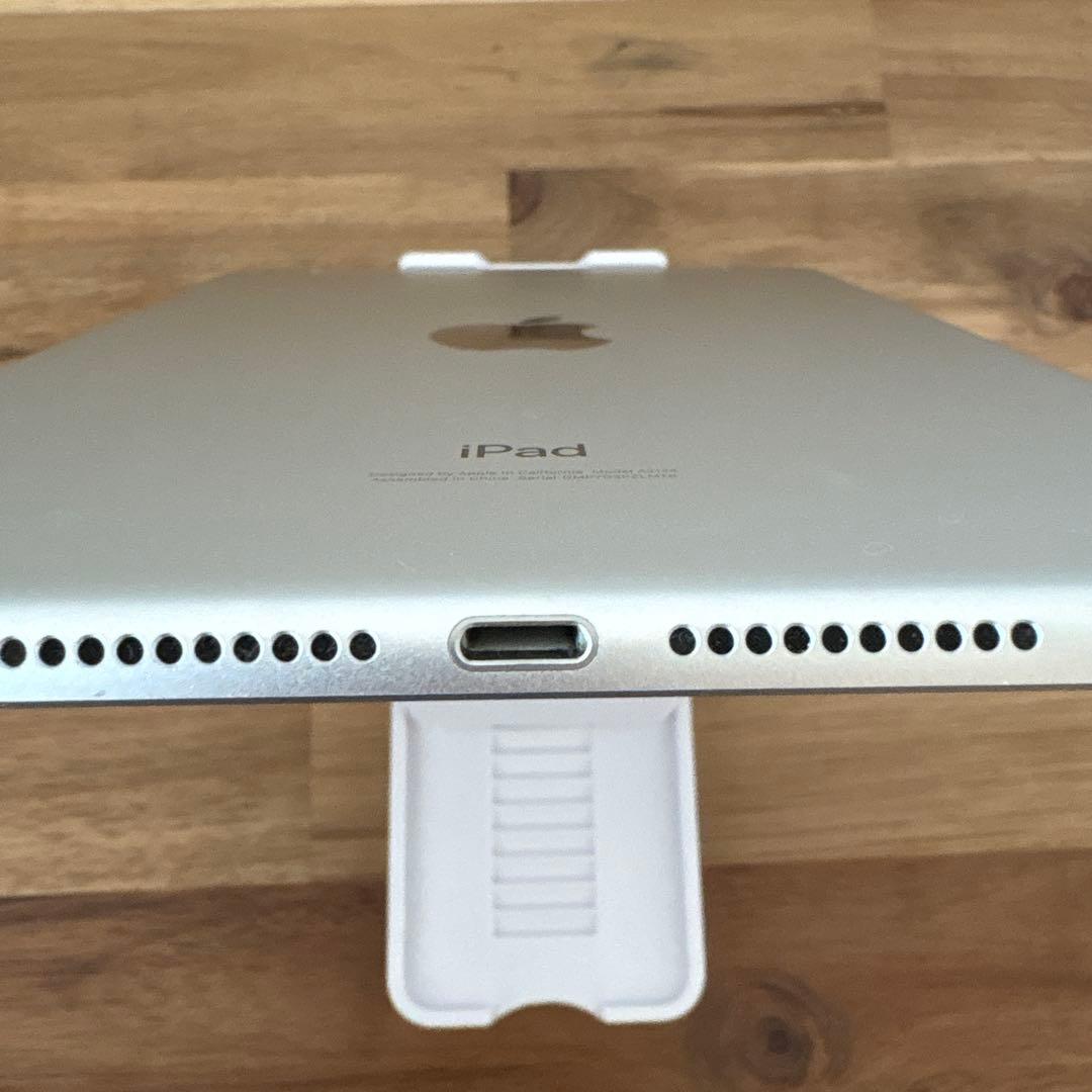 iPad mini5 Wi-Fi+Cellular モデル64GB (3)