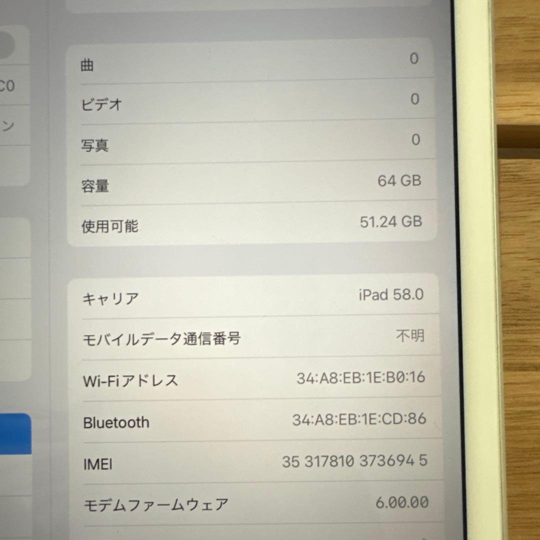 iPad mini5 Wi-Fi+Cellular モデル64GB (3)