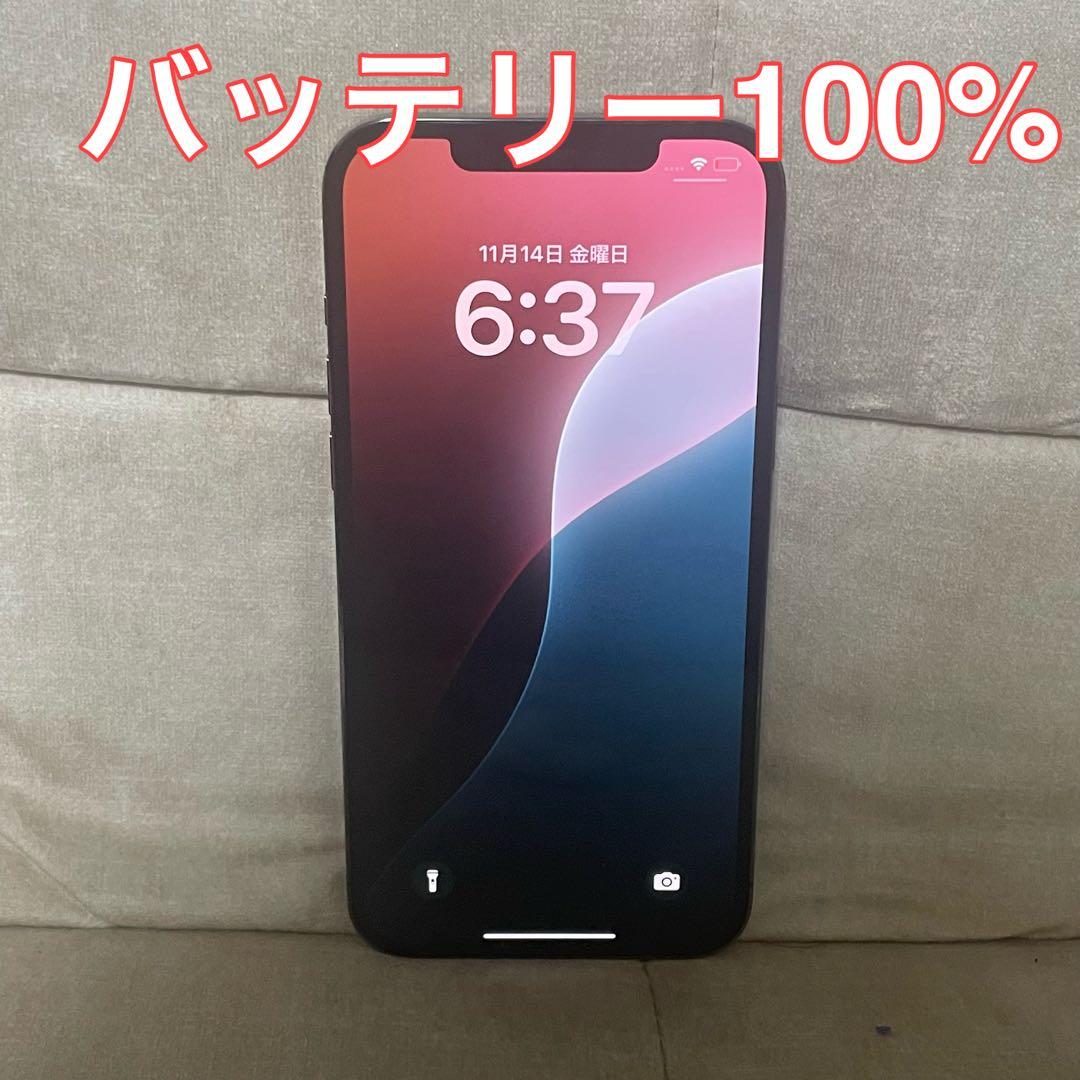 <バッテリー100> Apple iPhone 12 Promax 256GB