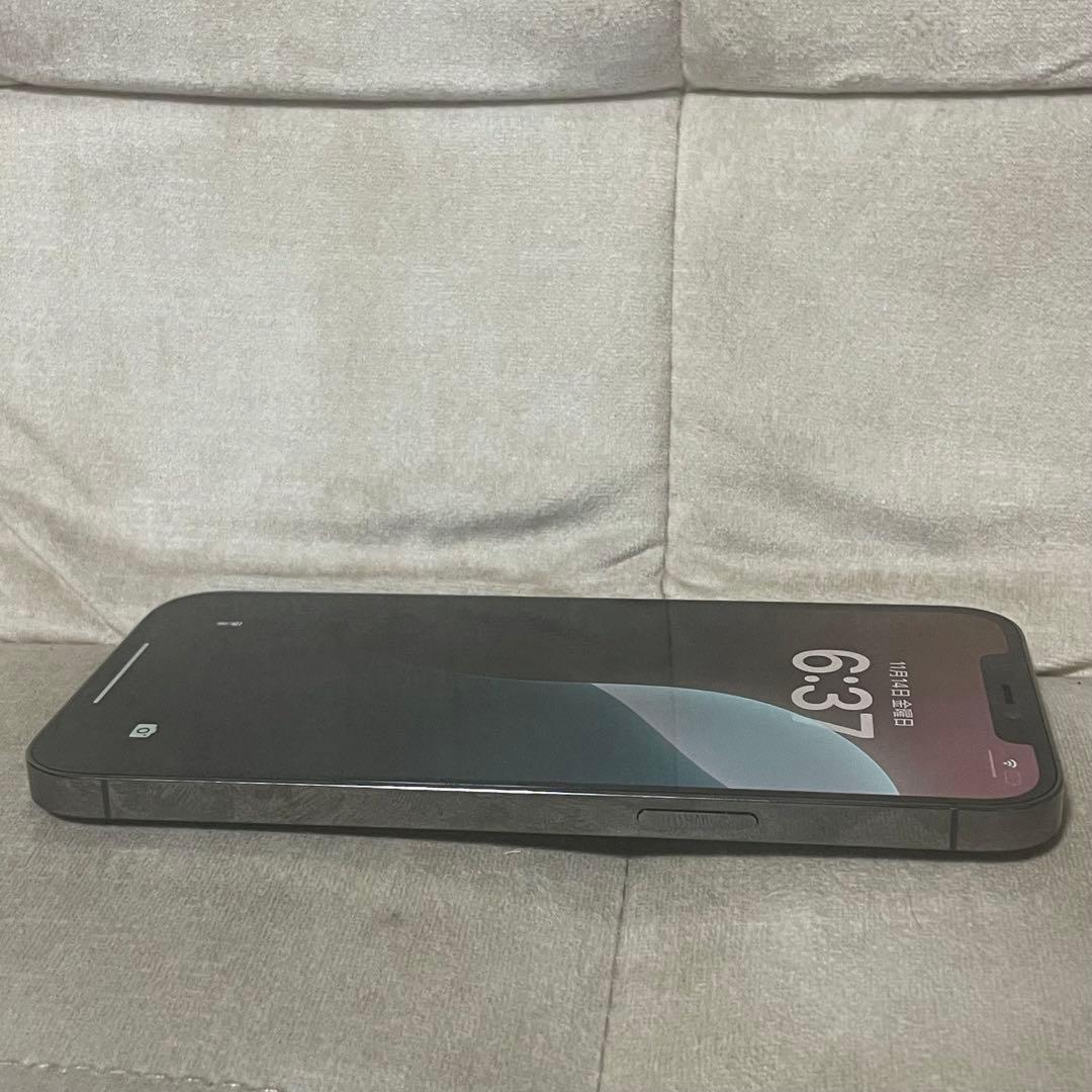 <バッテリー100> Apple iPhone 12 Promax 256GB