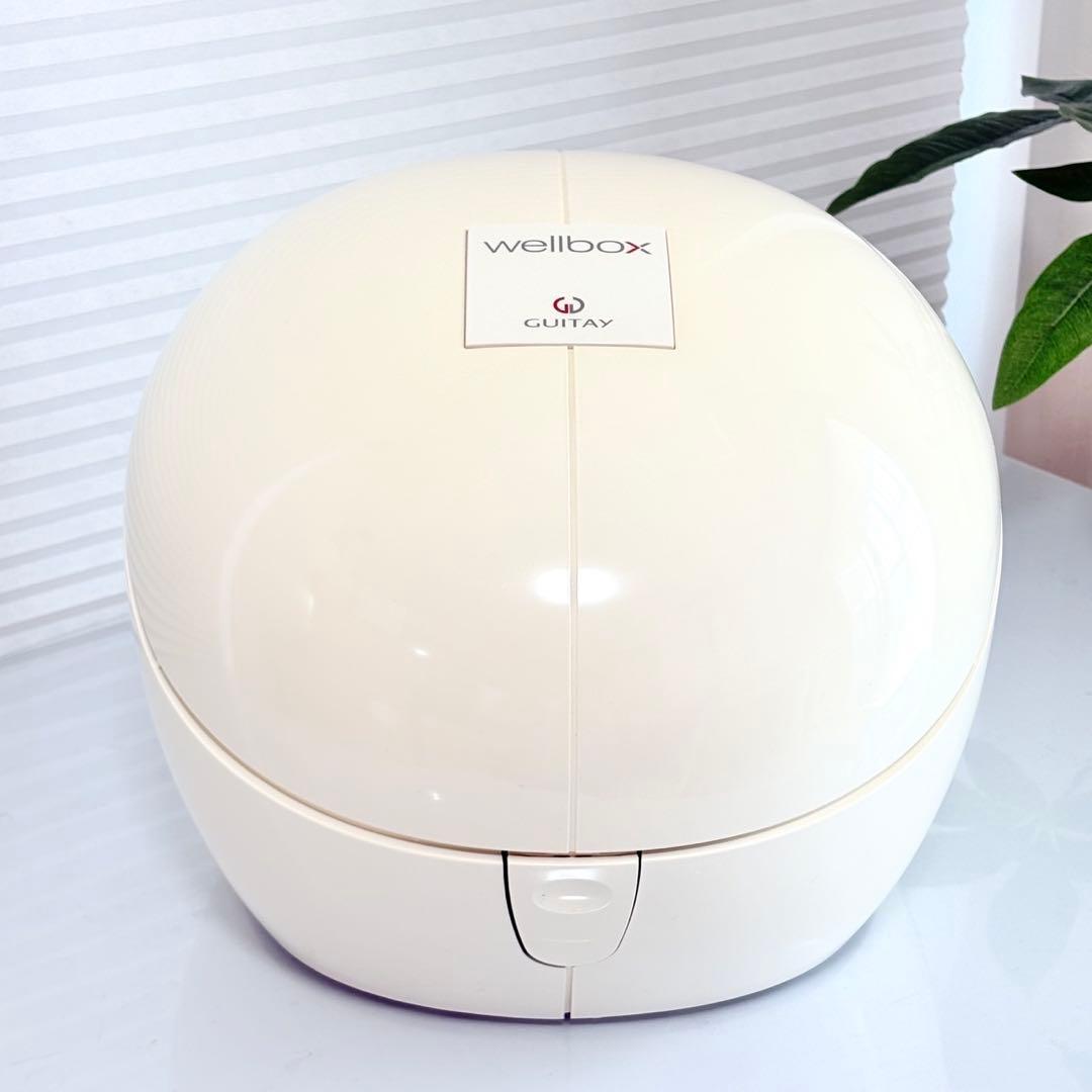 ウェルボックス エンダモロジー 痩身エステ 動作良好 予備フィルター付き