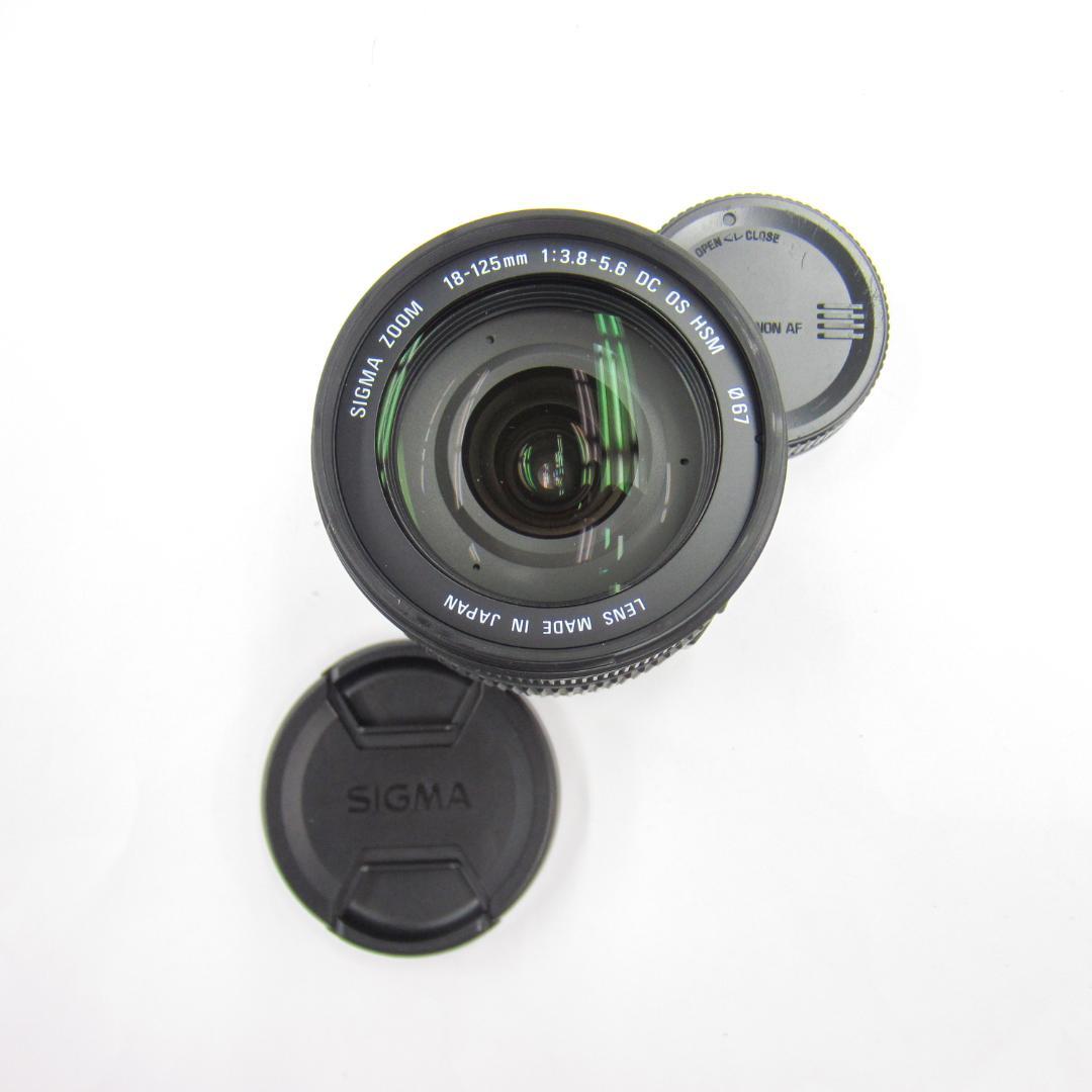 SIGMA 18-125mm F3.8-5.6 DC OS HSM CANON用