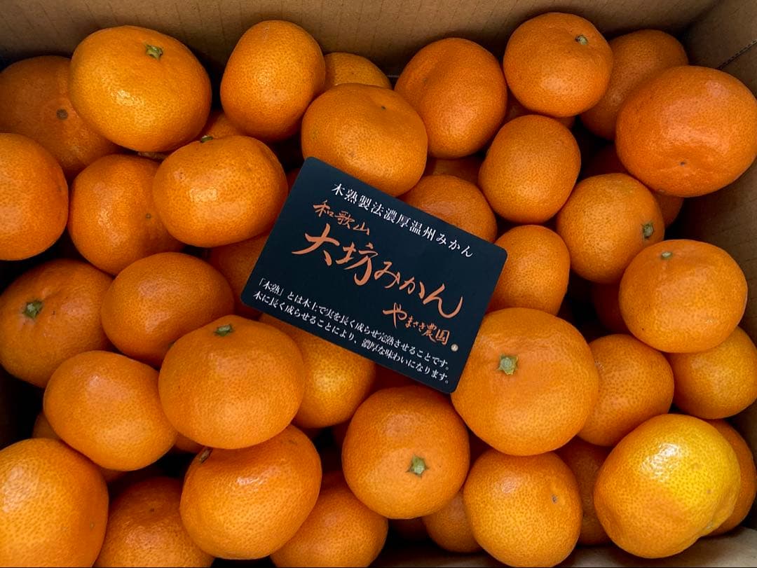 みさ! 温州みかん 樹熟大坊みかん 秀品(贈答品同様)2Sサイズ10kg