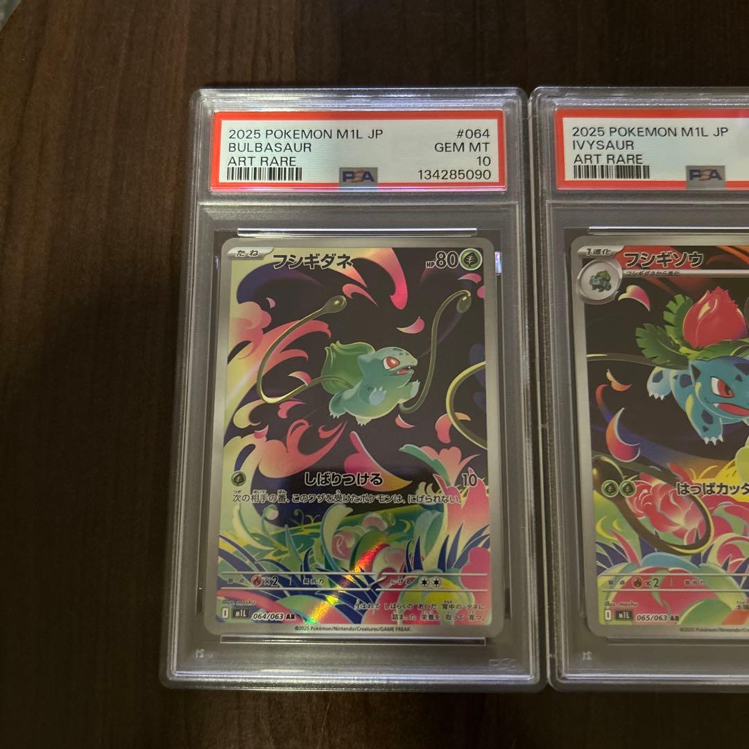 メガフシギバナex 進化ライン【PSA10】セット