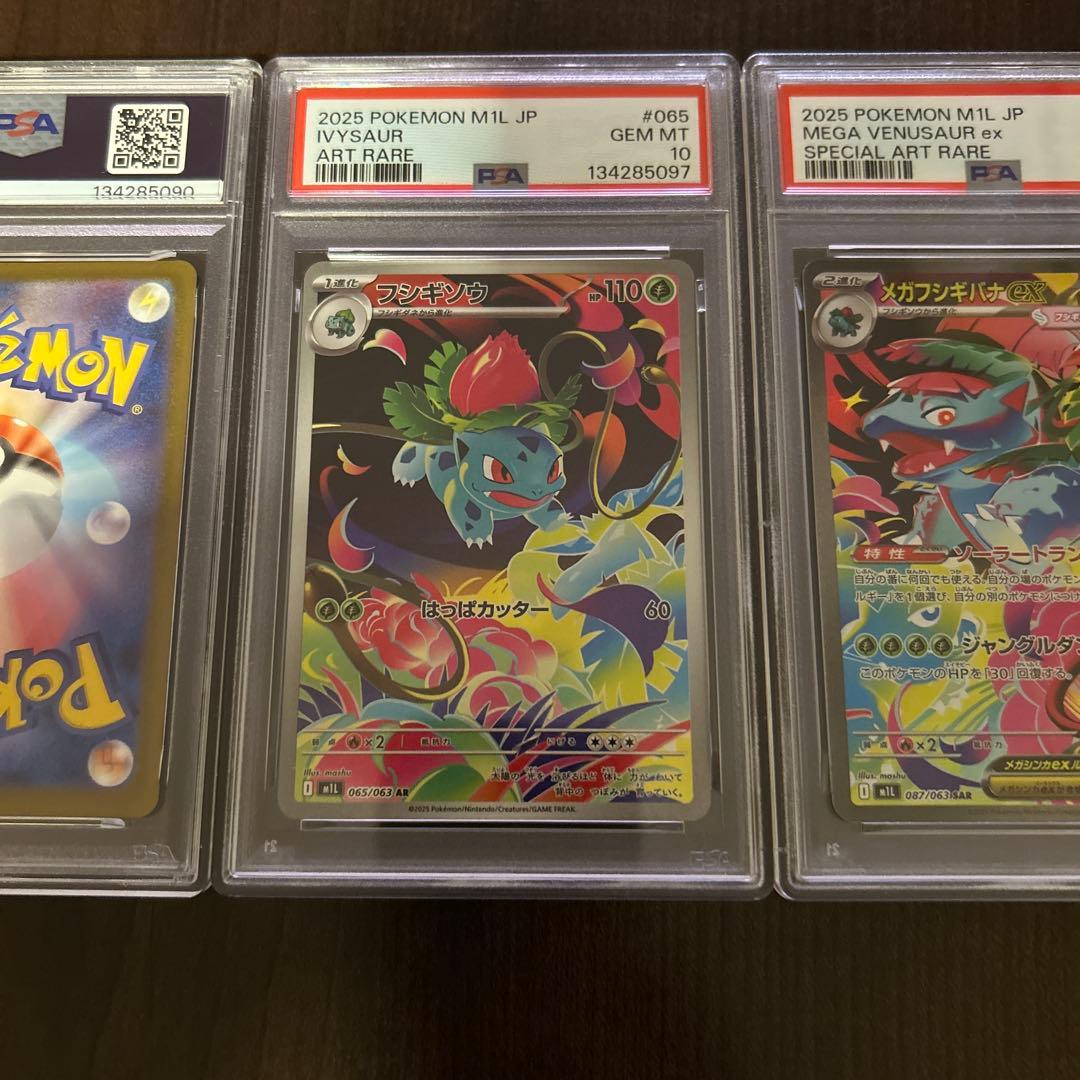 メガフシギバナex 進化ライン【PSA10】セット