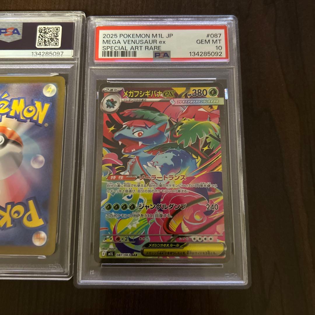 メガフシギバナex 進化ライン【PSA10】セット