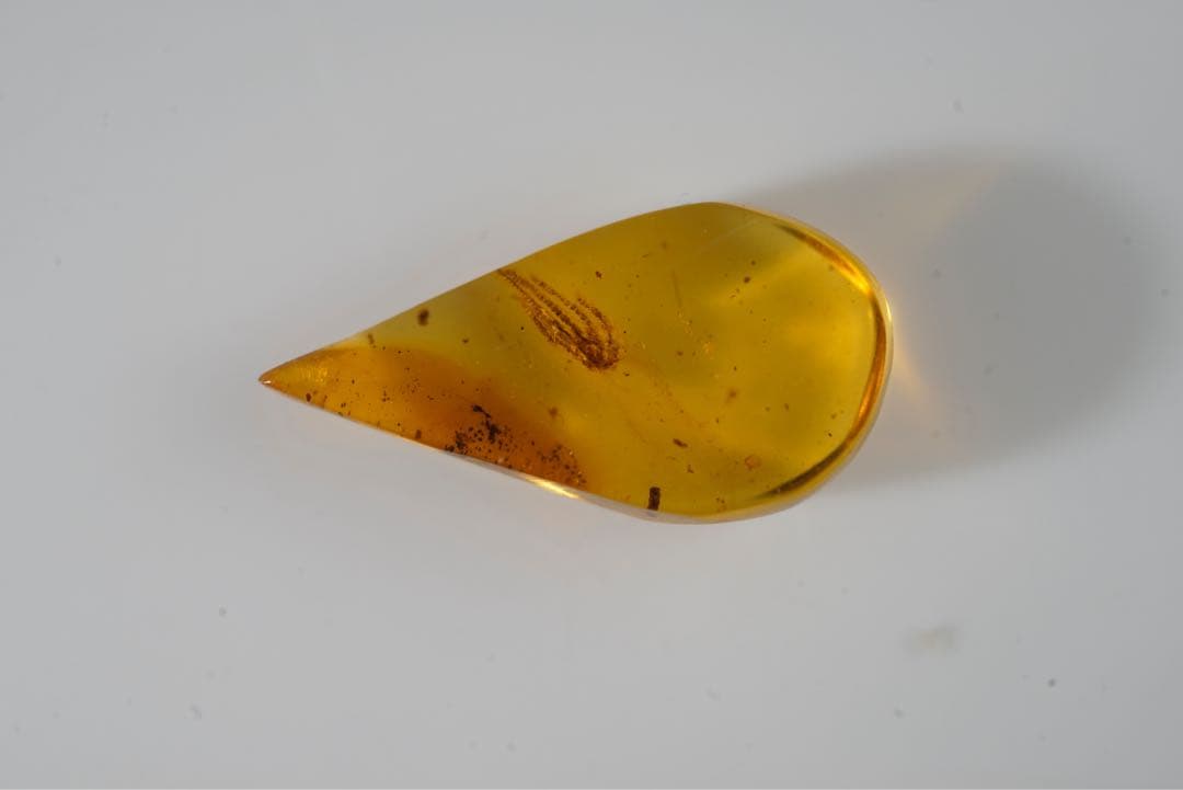 レア極上品手TT0004虫入り琥珀化石ミャンマーカムティかタナイ産9900万年前