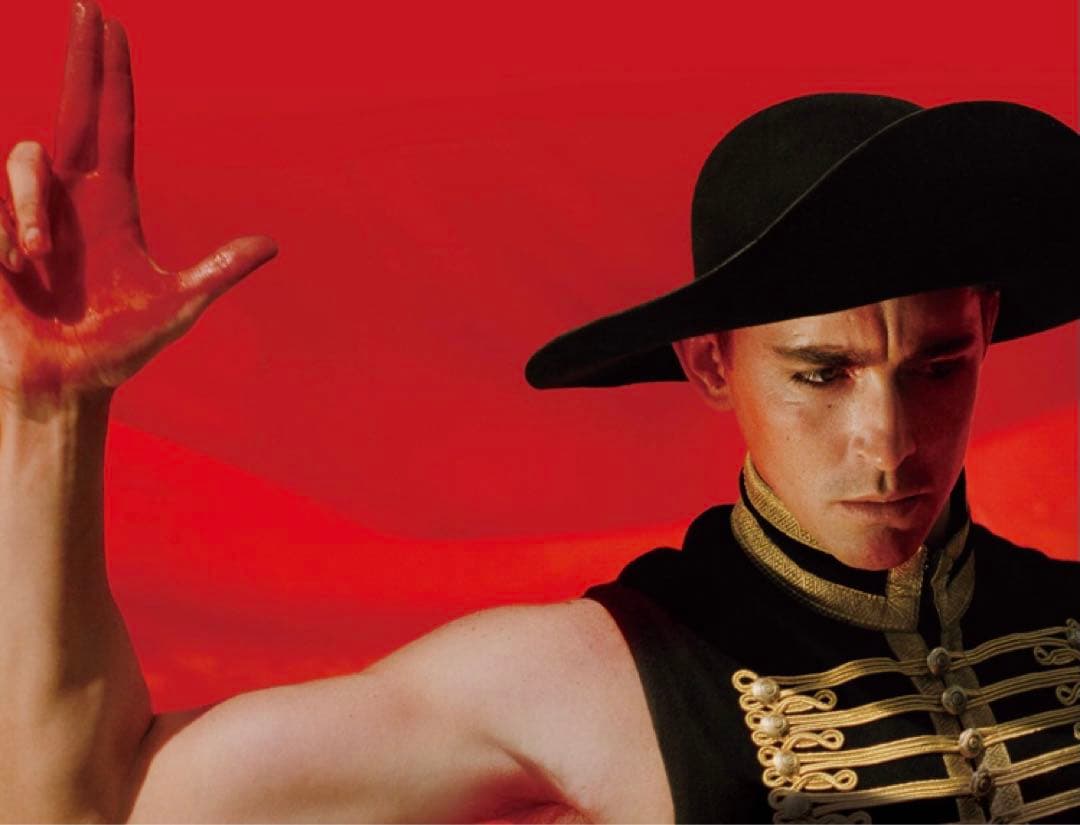 ザ・フォール　落下の国　DVD　# バードマン　オッペンハイマー　タイタニック