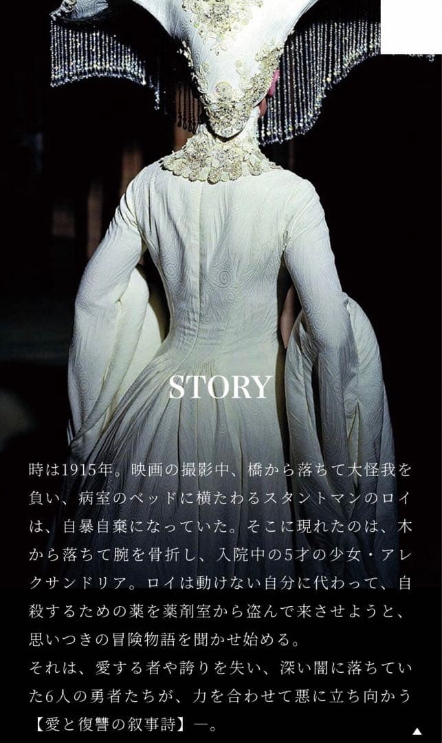 ザ・フォール　落下の国　DVD　# バードマン　オッペンハイマー　タイタニック