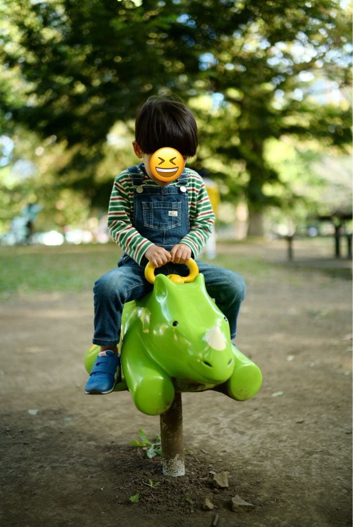 フォクトレンダー NOKTON 35mm F1.2 Aspherical VM