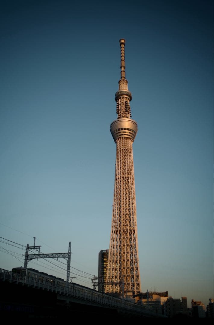 フォクトレンダー NOKTON 35mm F1.2 Aspherical VM