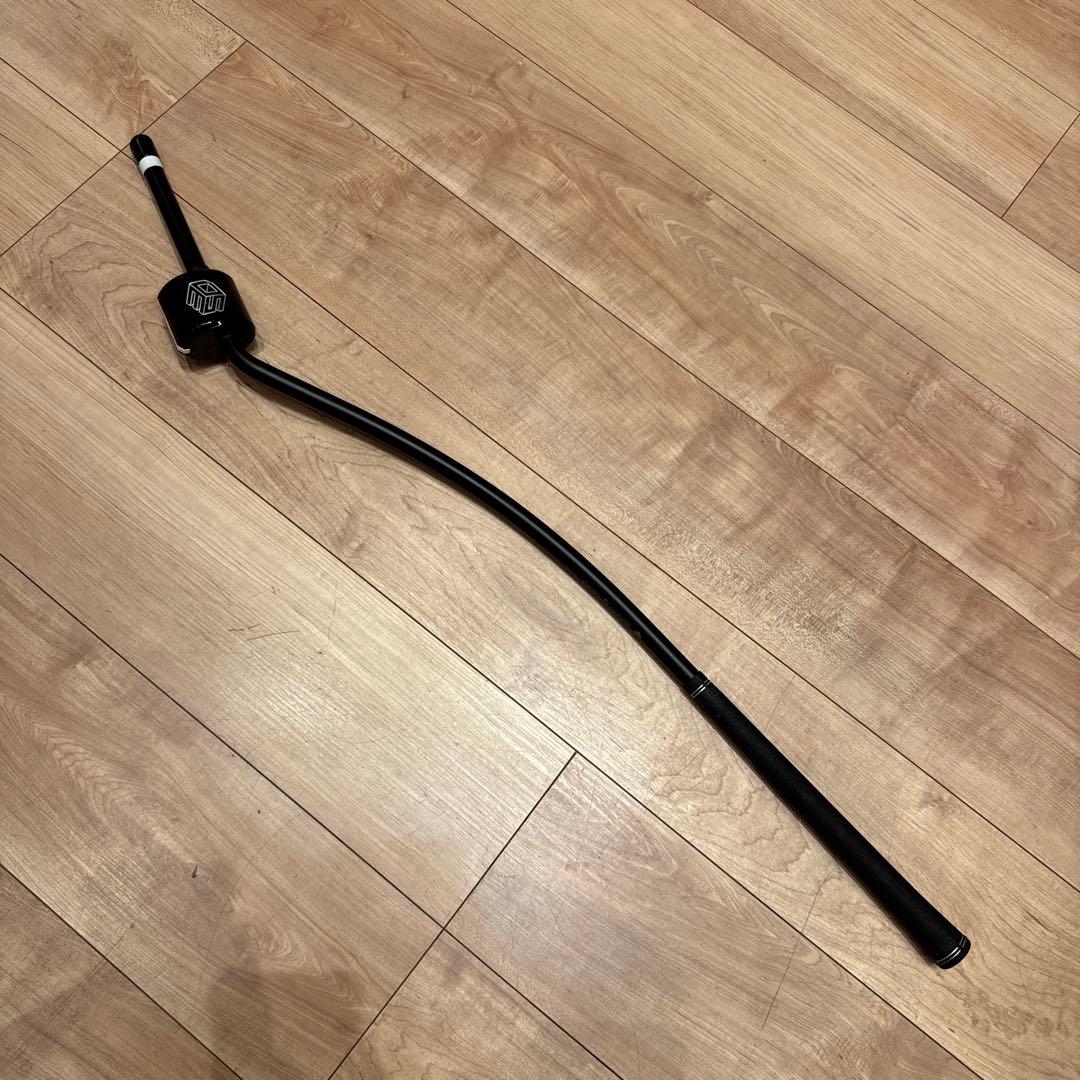 3D Swing Mentor 3Dスイングメンター TASK GOlF