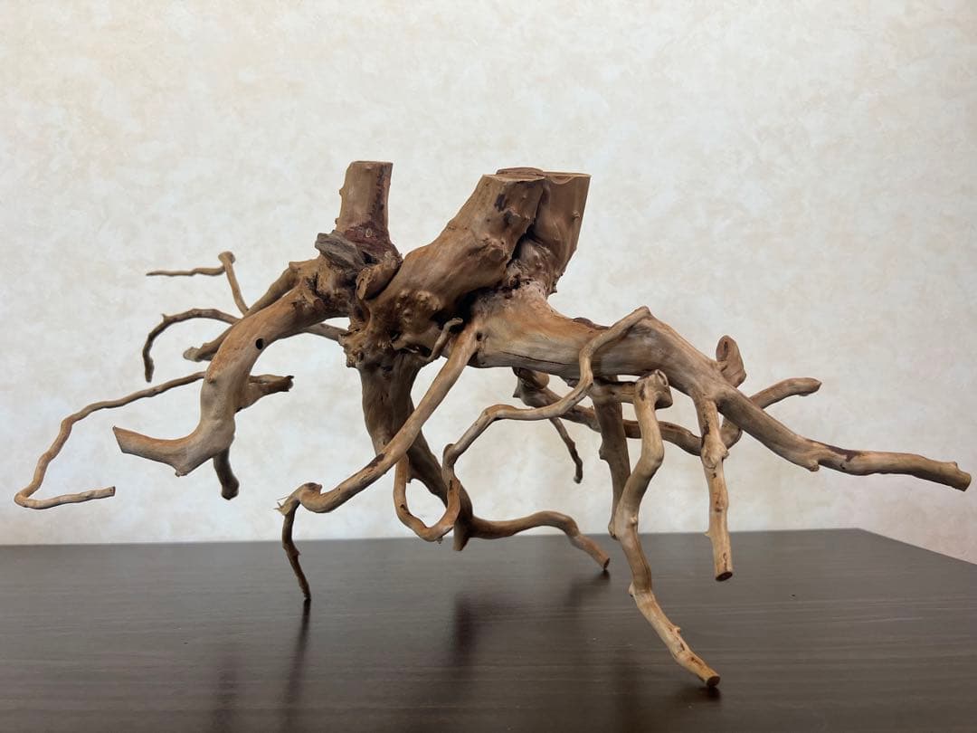 63001 ブランチウッド　流木　アクアリウム　沈水確認済