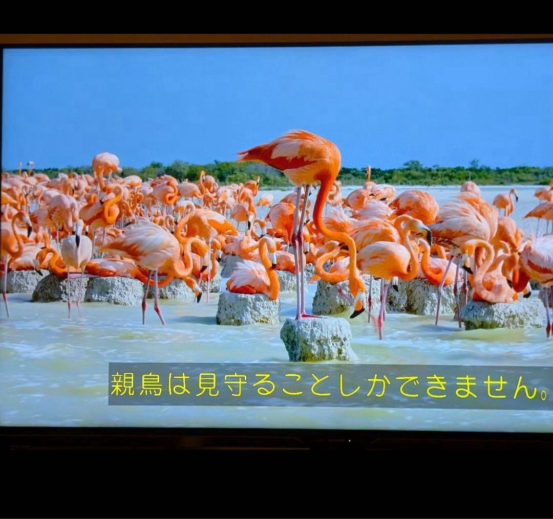 シャープ 60V型 4K 液晶テレビ AQUOS LC-60US30 動画アプリ