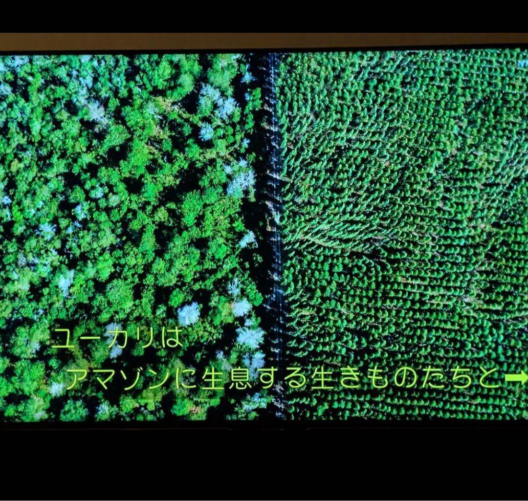 シャープ 60V型 4K 液晶テレビ AQUOS LC-60US30 動画アプリ