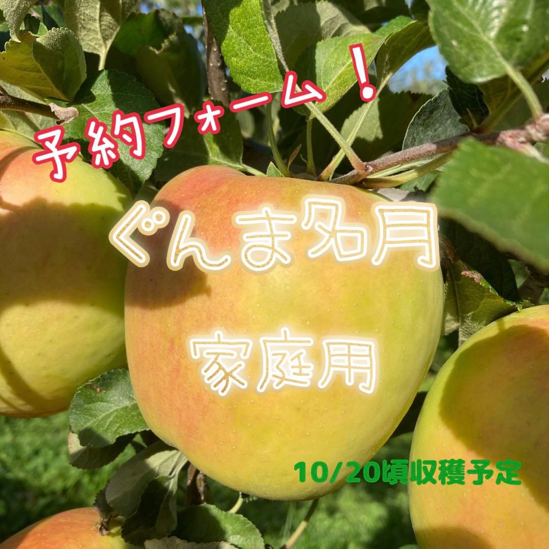 青森県産‼️ぐんま名月ご予約コメントフォーム✨