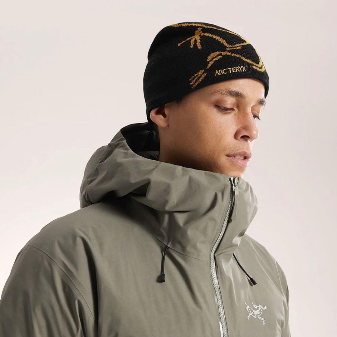 た*か様 レア完売！新品未使用！アークテリクス　バードヘッドトーク　入手困難24