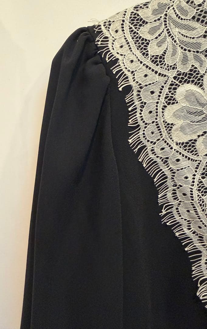 新品•未使用 グレースコンチネンタル バイカラーレースブラウス