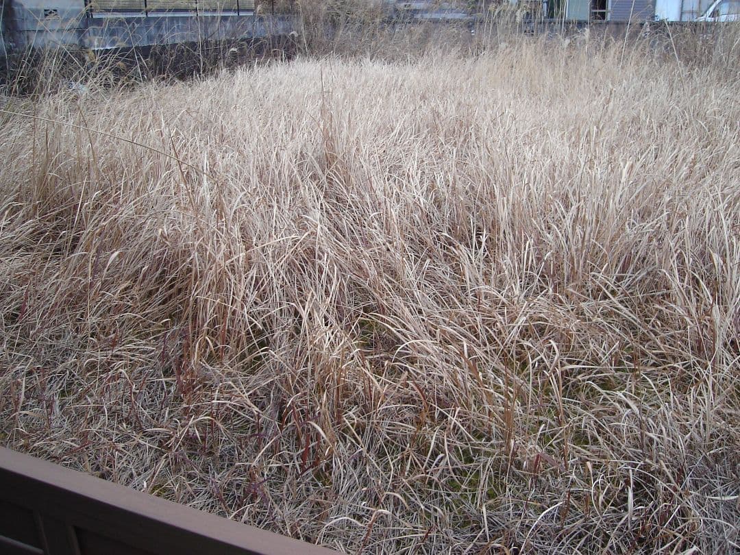 SONY Cyber−Shot L DSC-L1 動作確認済　スマホ転送OK