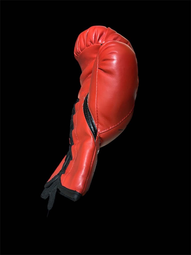 u*f様 山中慎介 直筆サイン入りグローブ WBC バンタム級 V11 赤