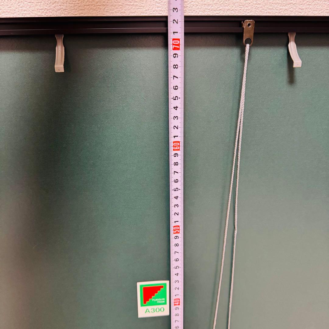 【9枚あり！】フジカラー A300 全紙 アルミ額縁