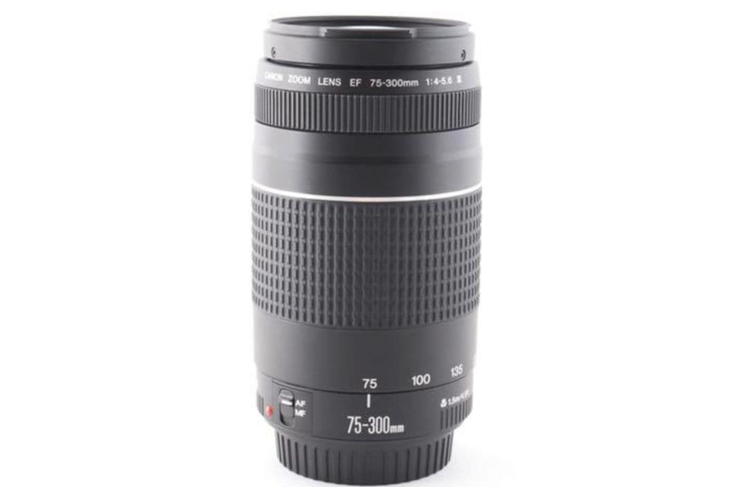 1月23日限定特価♪【超望遠レンズ】Canon EF 75-300mm Ⅱ
