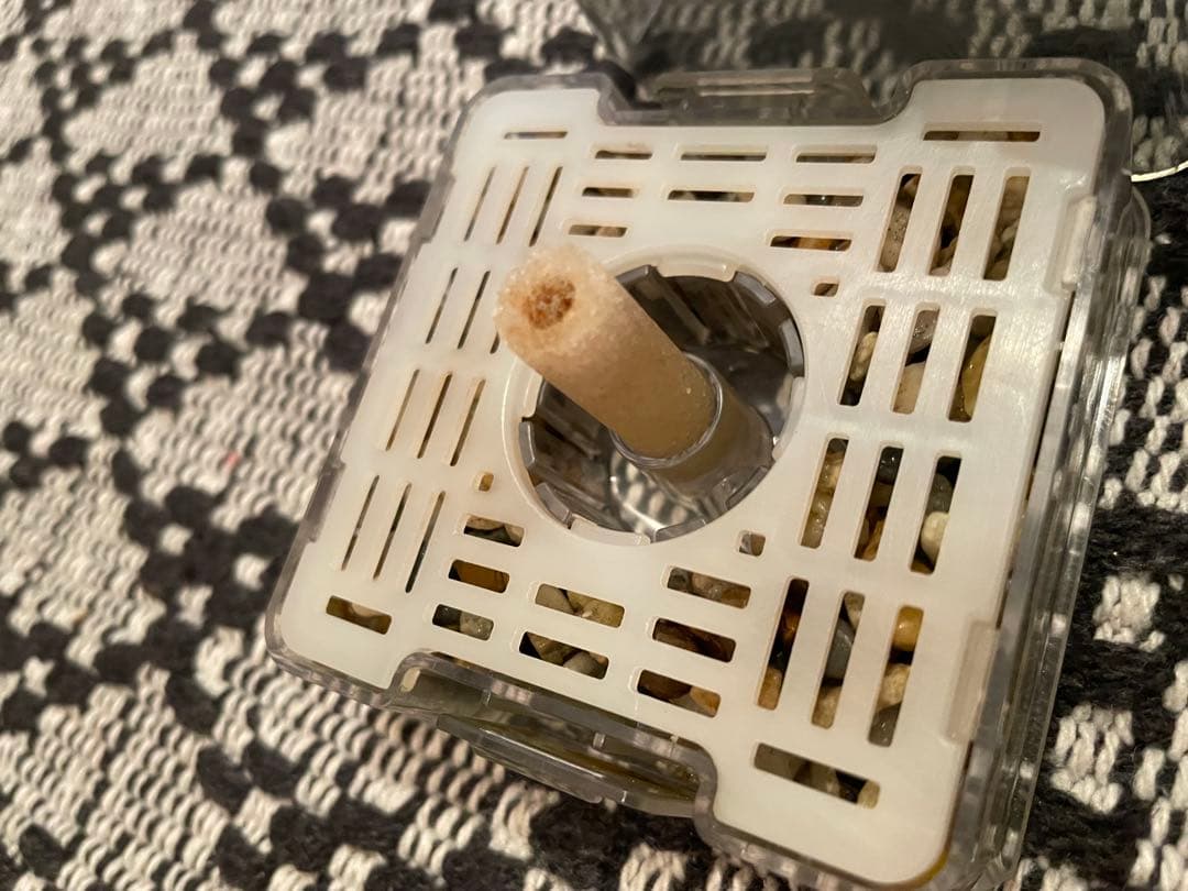 「値下げ交渉可！」GEX デュアルクリーン600 60cm水槽セット