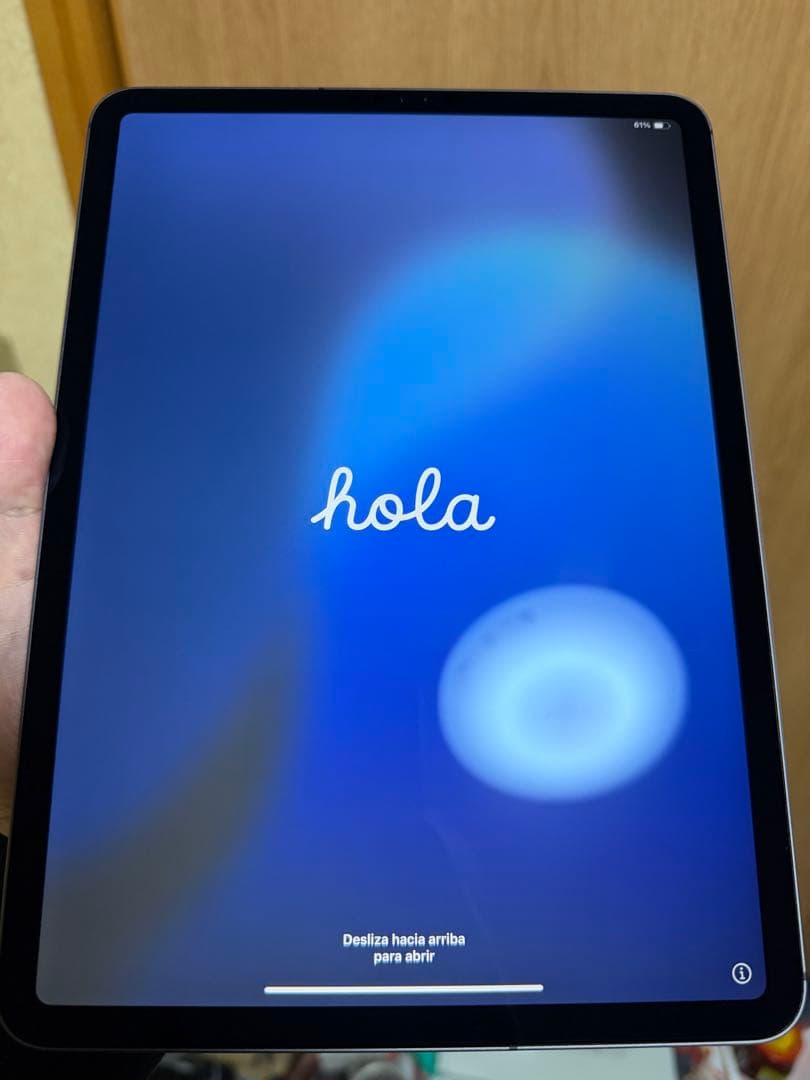 iPadpro 11インチ 第2世代 256G Wi-Fi+Cellular